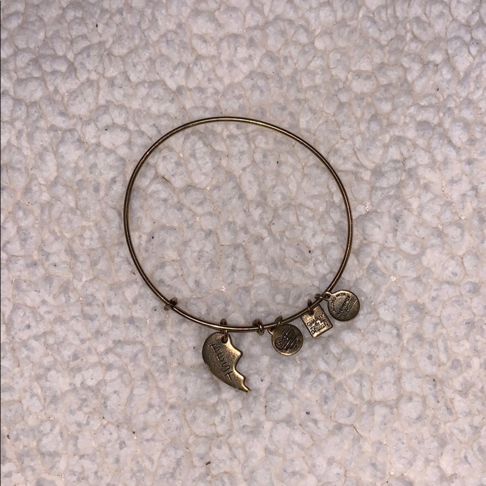 Alex & Ani ( best)  bangle
